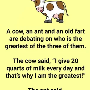A Cow, An Ant And An Old Fart Are Debating.