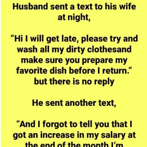 Husband texted his wife at night.