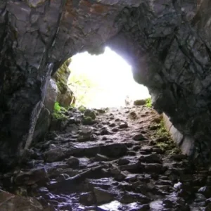 A Remarkable Story Of A Man And His Dog In A Cave.