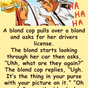 Are You Blonde?