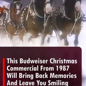 This Budweiser Christmas Commercial From 1987 Will Bring Back Memories And Leave You Smiling