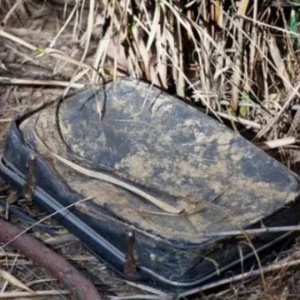 This woman came across an old, filthy luggage in a bush