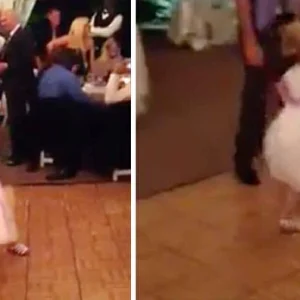 At the wedding reception, a flower girl dances, and as the song changes, everyone loses it…