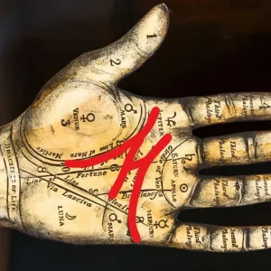 Here’s What The Letter “M” On The Palm Of Your Hand Really Means