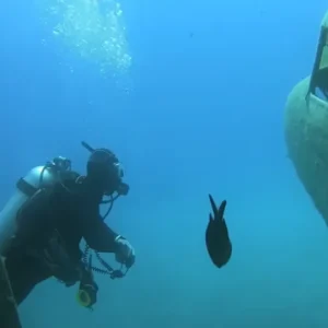 Mysterious plane found in the sea – Navy goes speechless when they look inside