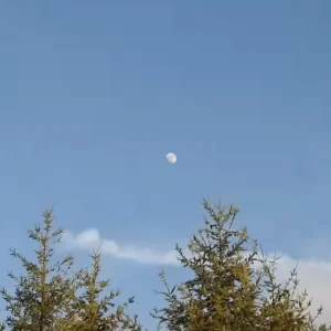 He Points His Camera At The Moon And Zooms In All The Way. What It Captured Is STUNNING!