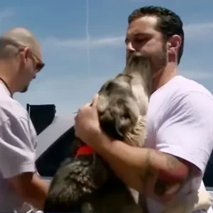 Soldier is forced to leave street dog he rescued in Iraq. 1 month later, they reunite on the other side of Earth