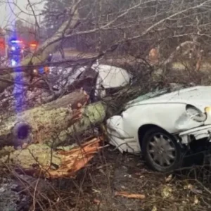 Popular comedian died in sad accident when massive tree limb fell on top of him…