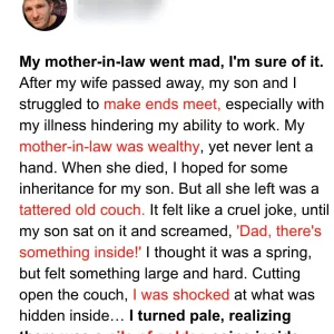 ‘There’s Something Inside!’ Boy Shouts after Sitting on Old Sofa Late Granny Left Him – Story of the Day