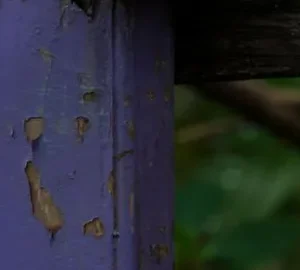 If you see a purple fence post, you need to know what it means