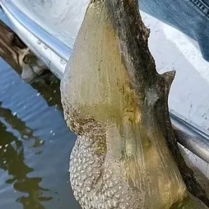 Uncovering the Mysteries of the Lake in Oklahoma