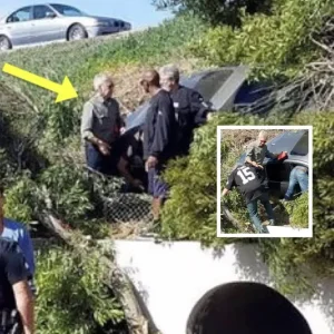 Legendary Hollywood Actor In Gray Shirt Rushes To Help Woman In Crashed Car